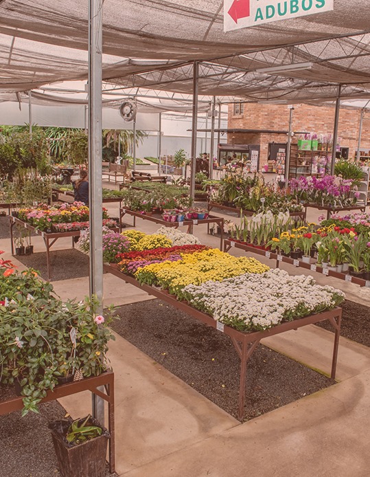 Garden Center - Flor da Suissa